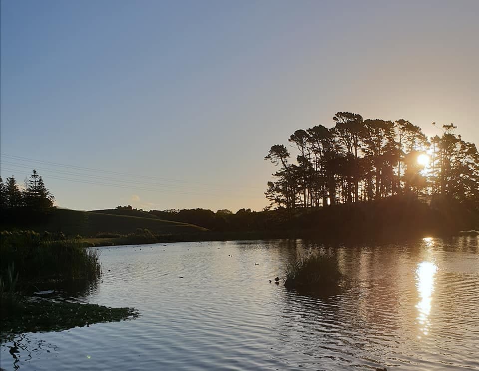 Sunset at Barrett Domain