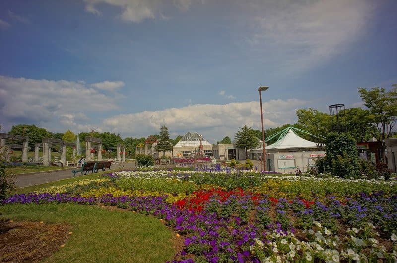 2019年5月18日ちょうど花壇の植え替え時期だったようでしたがパンジーなどが咲いていました。