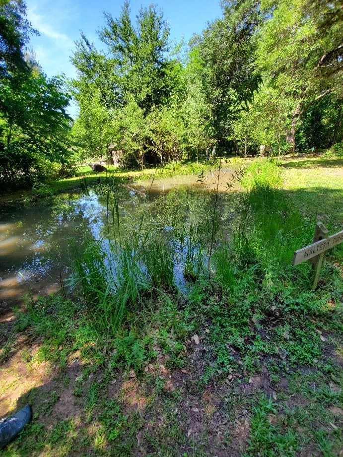Tallmadge Woods Preserve