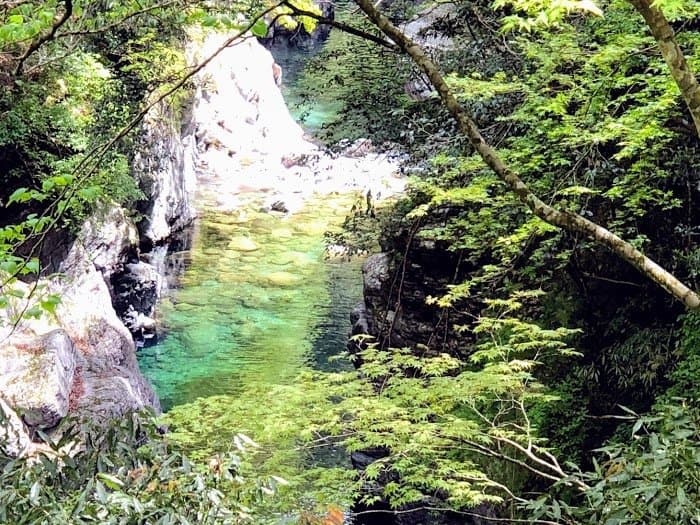 みかえりの滝