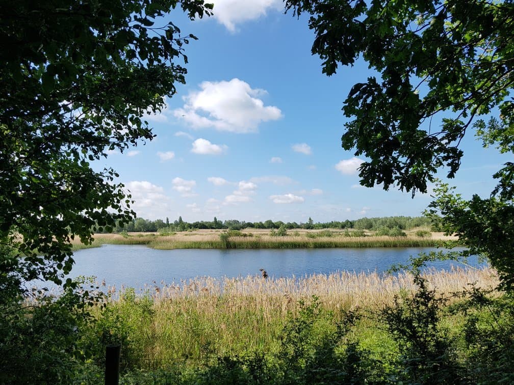 RSPB Fen Drayton Lakes