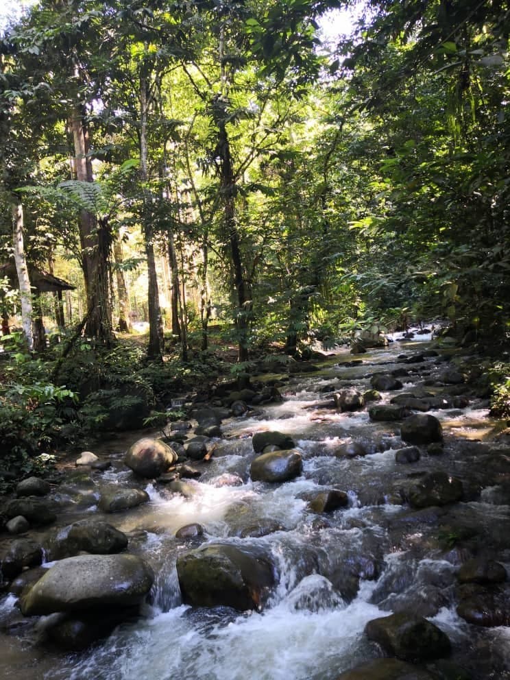 Sungai Congkak Recreational Forest