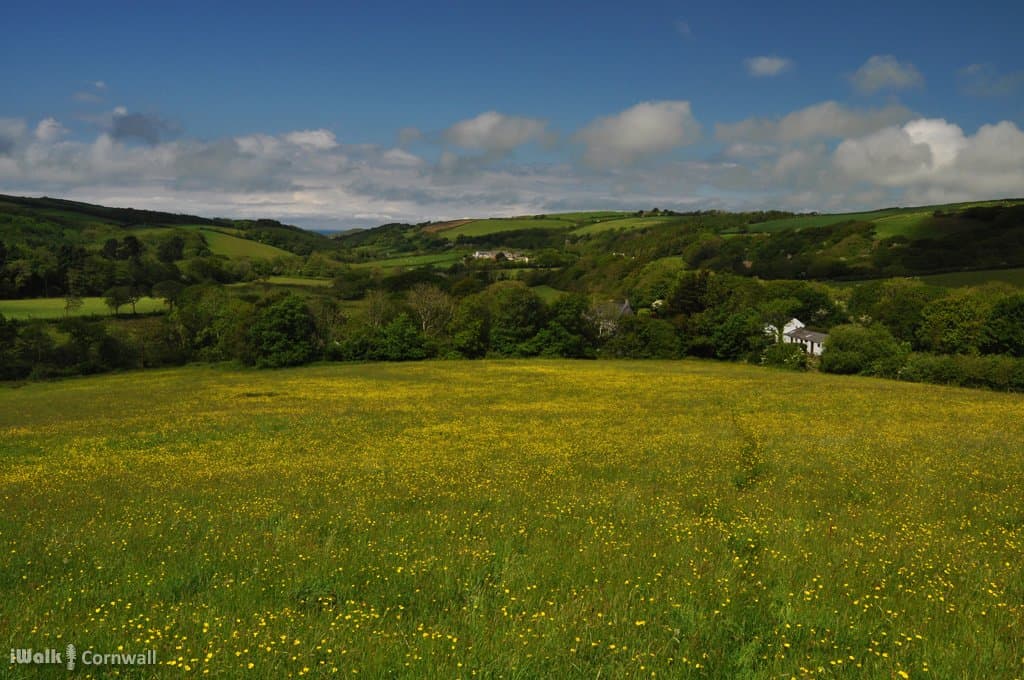 View from the path to Penstowe Castle