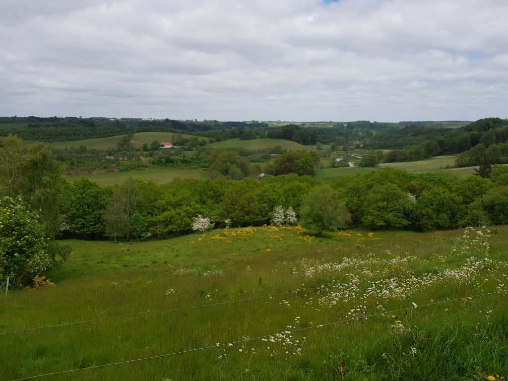 Tørskind Sculpture Park