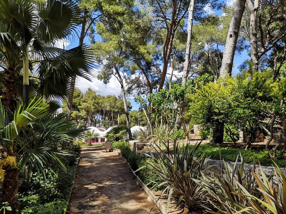 Municipal Park Parc Municipal