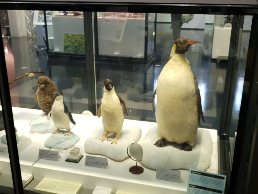 Polar Science Museum