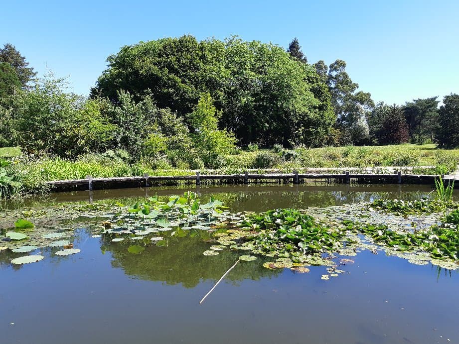 Parc du Grand Blottereau
