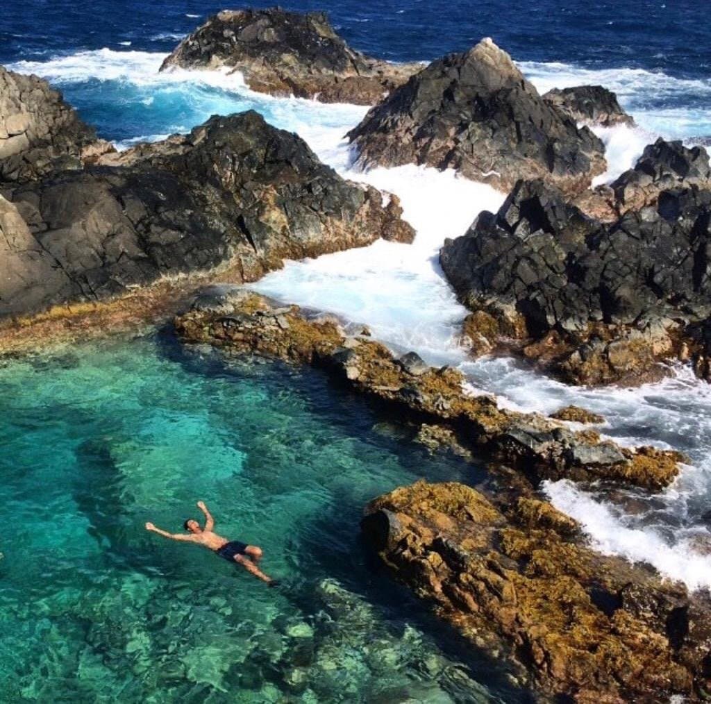 Natural Pool Conchi
