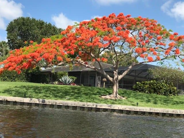 Paseo por Lake Ida, muy lindo para ir a pescar so los pasear,  el paisaje en fantástico