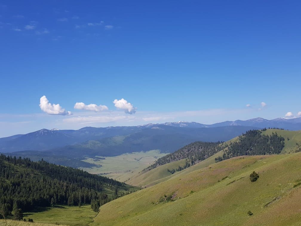 Bison Range Montana