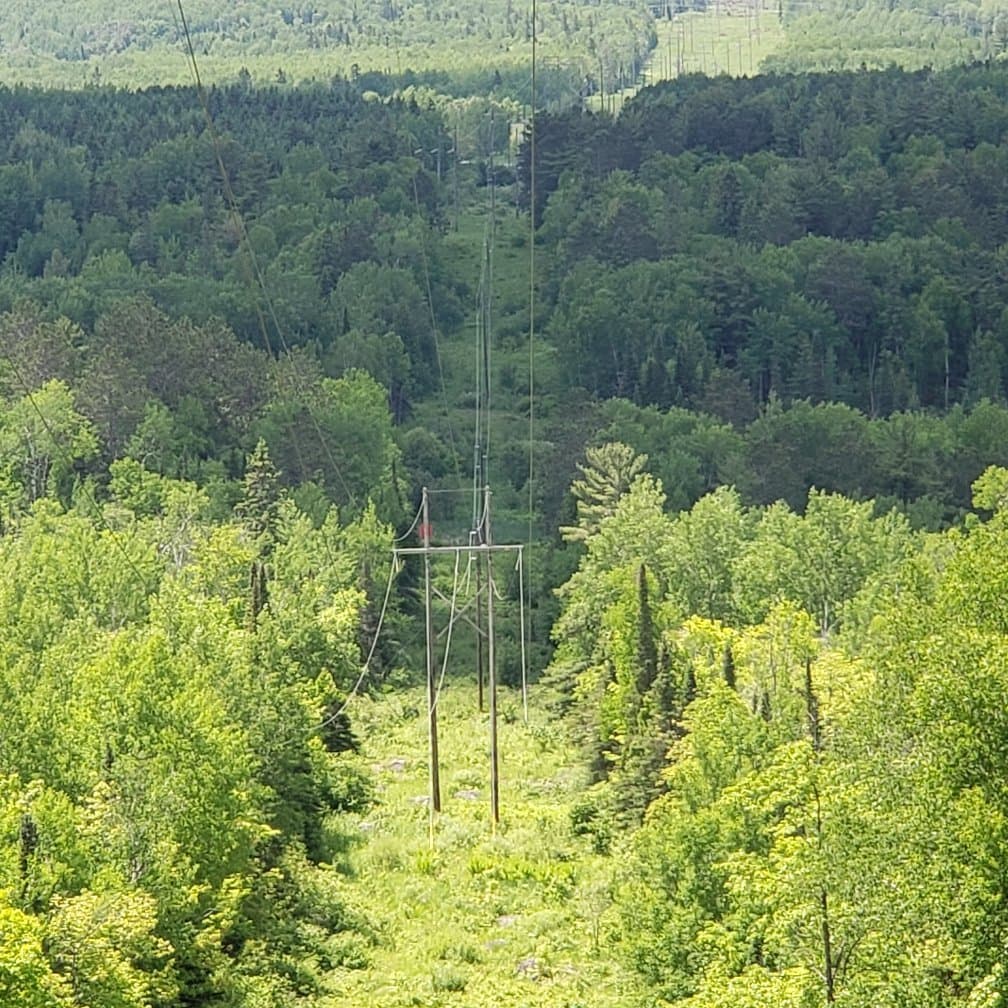 Currituck Banks Reserve Maritime Forest Trail