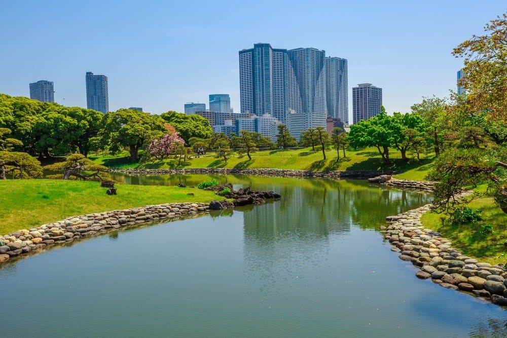 Hama Rikyu Gardens are the perfect place to take a nature break in Tokyo. Located near Tokyo Bay and just a short walk away from Shiodome Station, there is always something to see in these vast gardens.