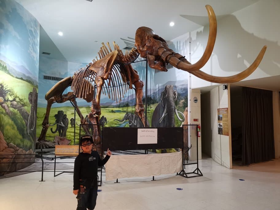 Korat Fossil Museum
