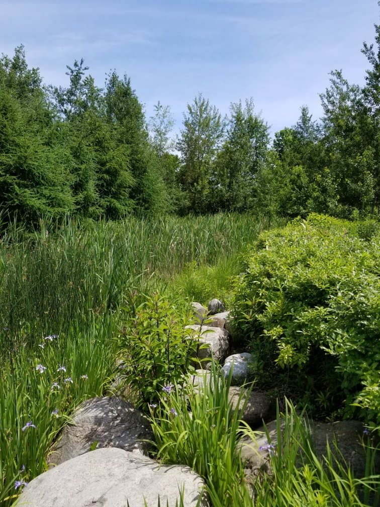 Corktown Common