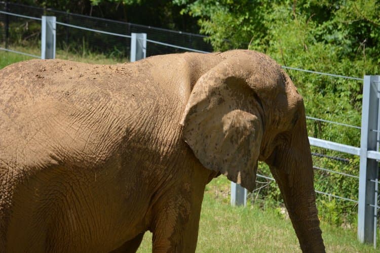 The Maryland Zoo