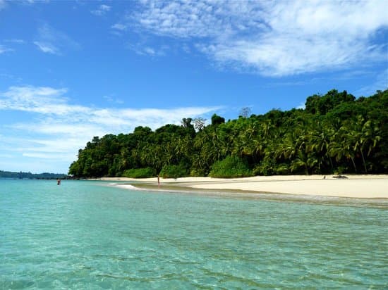 Hermosas islas remotas donde la vegetación toca el mar!!