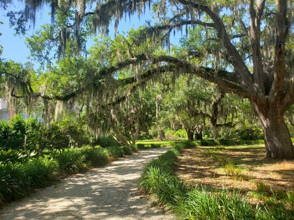 Coastal Discovery Museum at Honey Horn