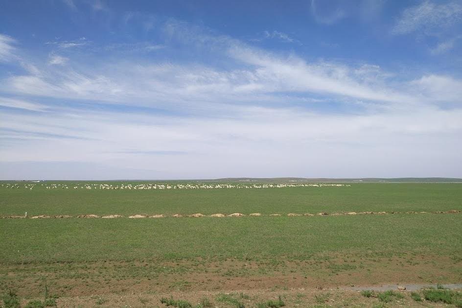 Xilamuren Grassland