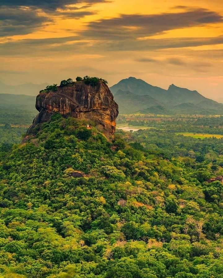 sigireya