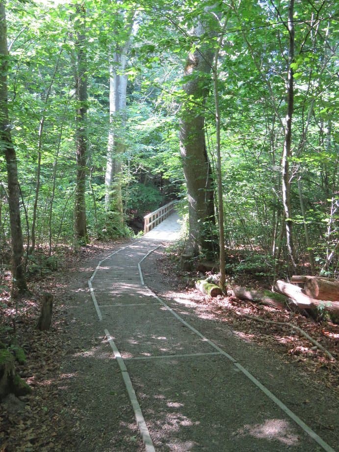 Dalby Söderskog National Park