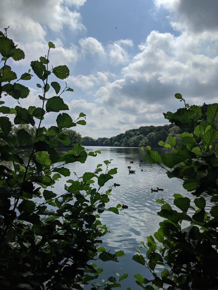 Plantsbrook Nature Reserve