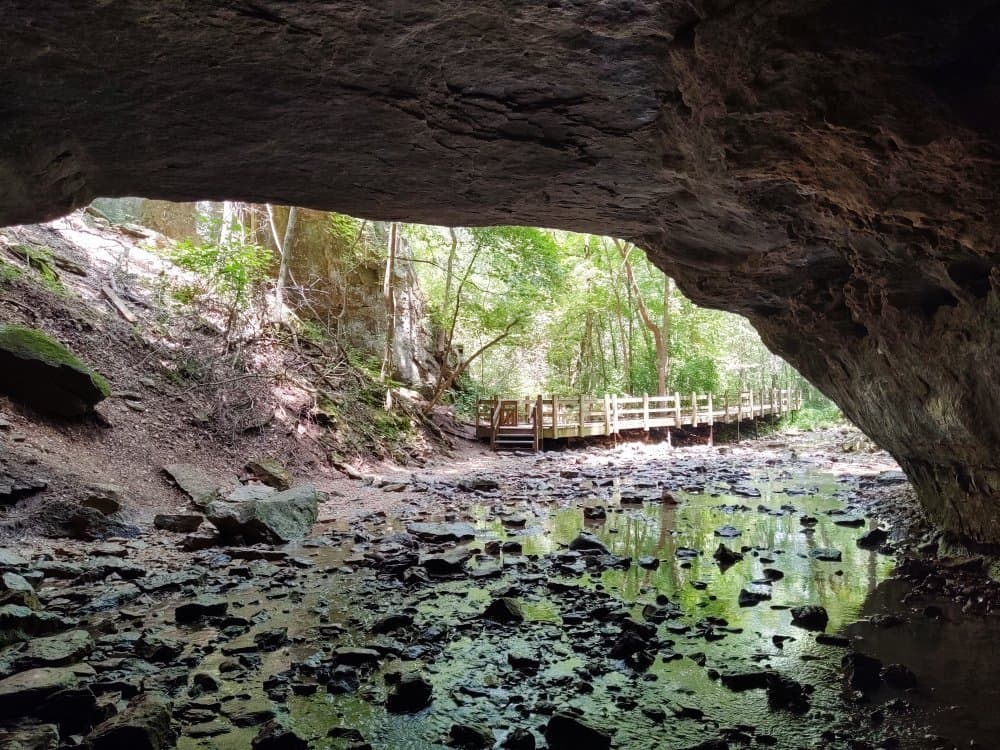 Rock Bridge Memorial State Park Missouri