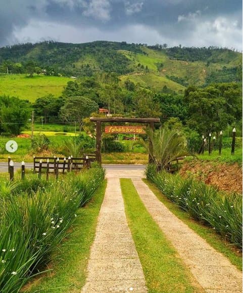 Família Silotto - Estrada sentido Serra Negra/Lindóia. (Janeiro/2019)
