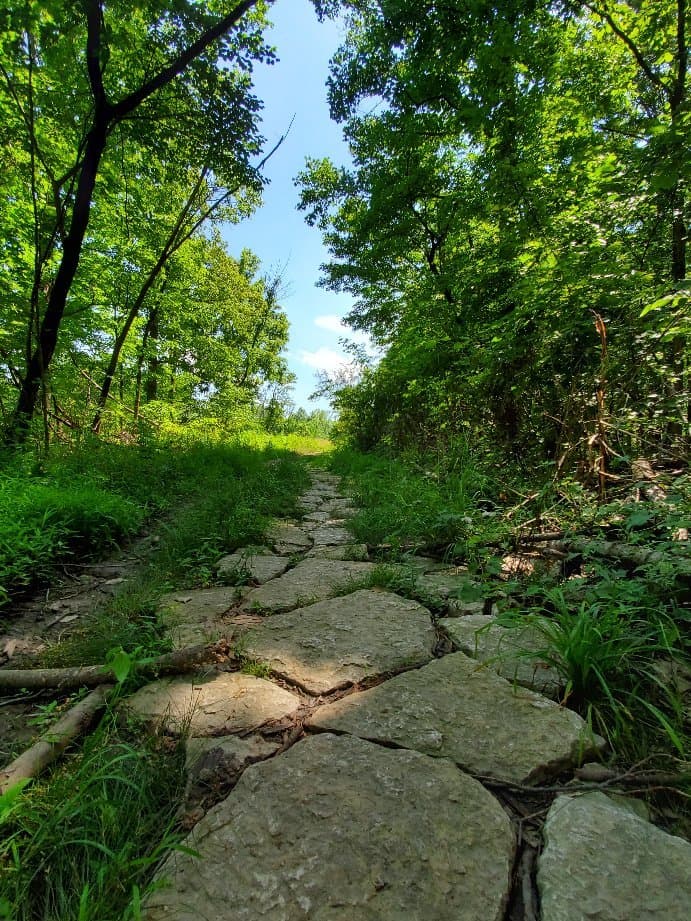 Fort Harrison State Park