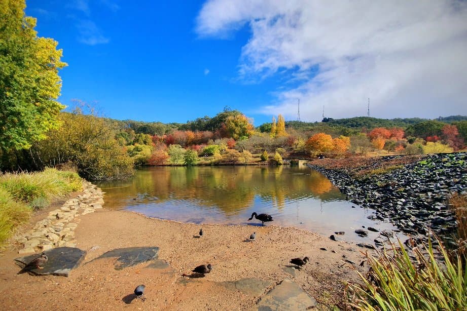 Mount Lofty Botanic Garden