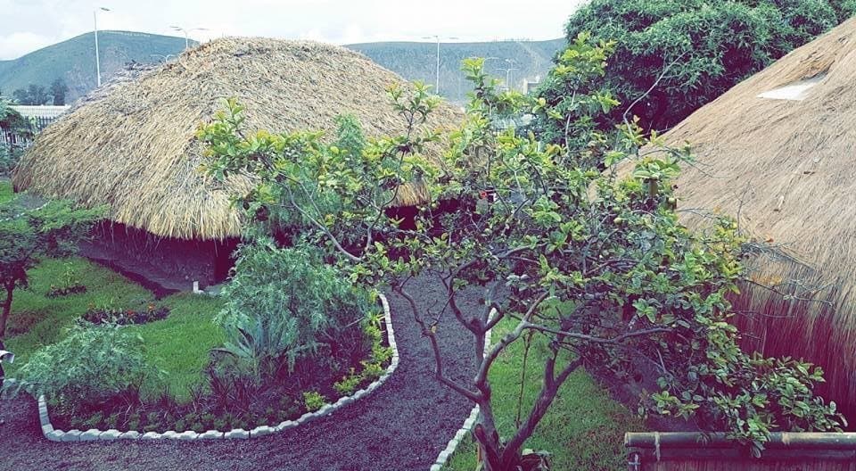 Omaere Ethnobotanical Park
