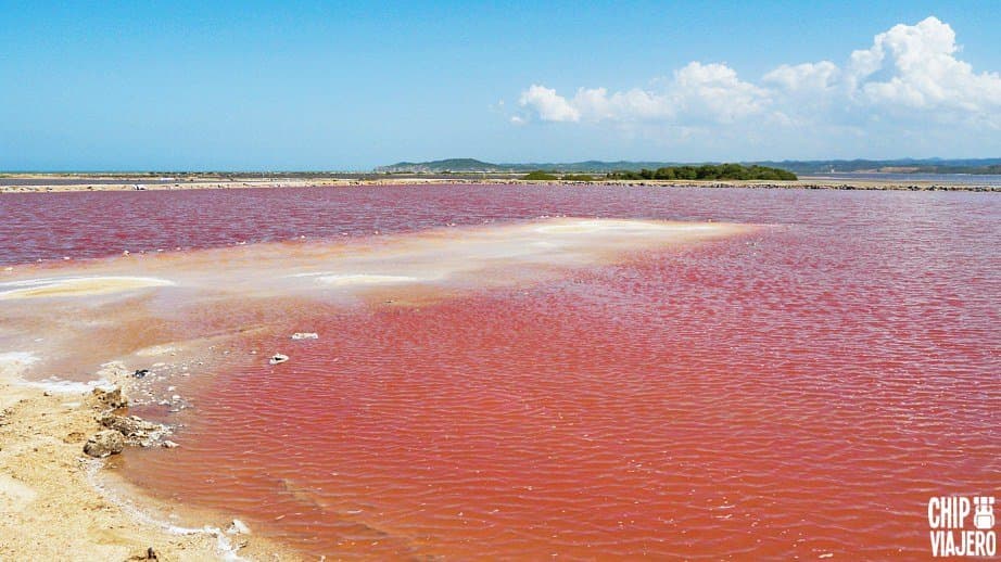 Pink Sea Galerazamba
