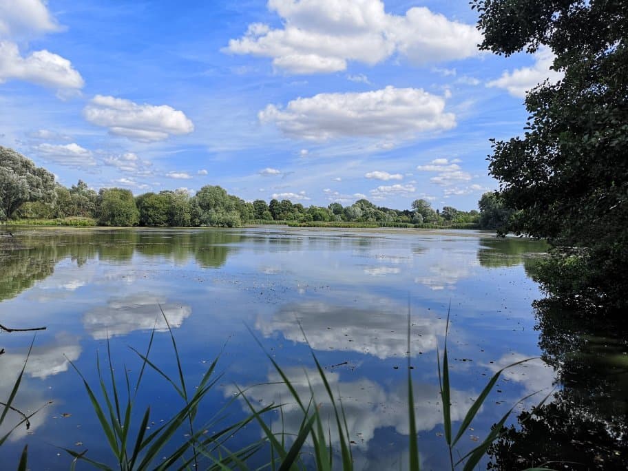 Lackford Lakes