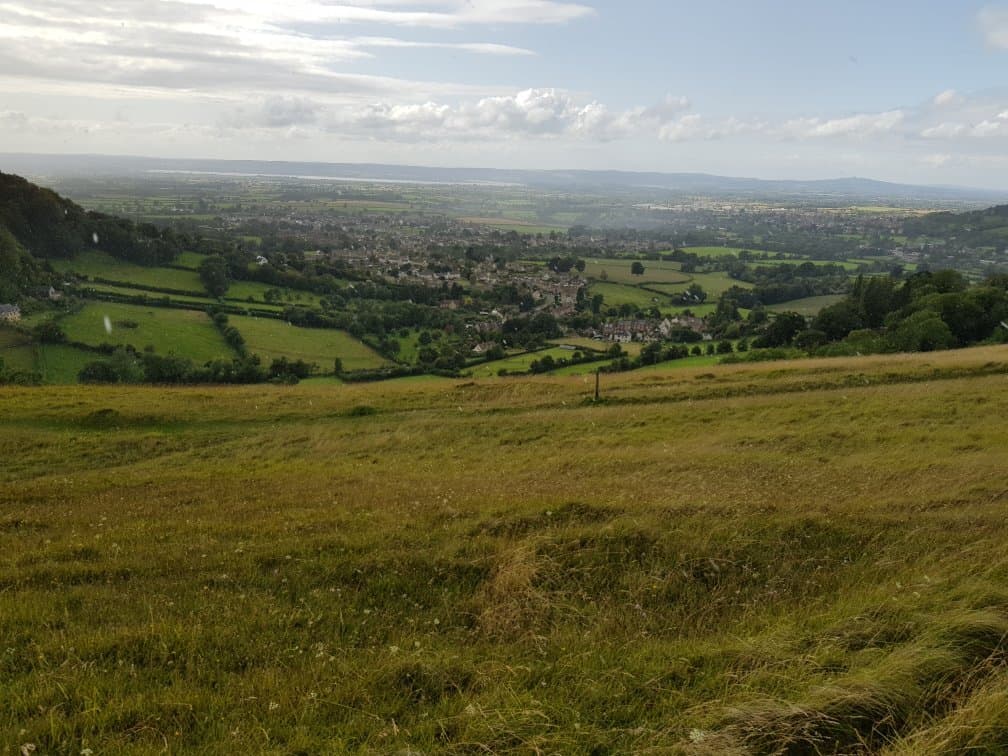 Selsley Common