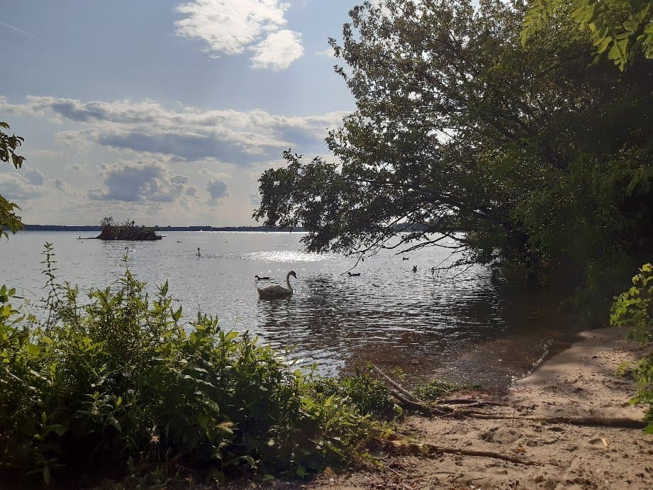 Take a walk around Müggelsee