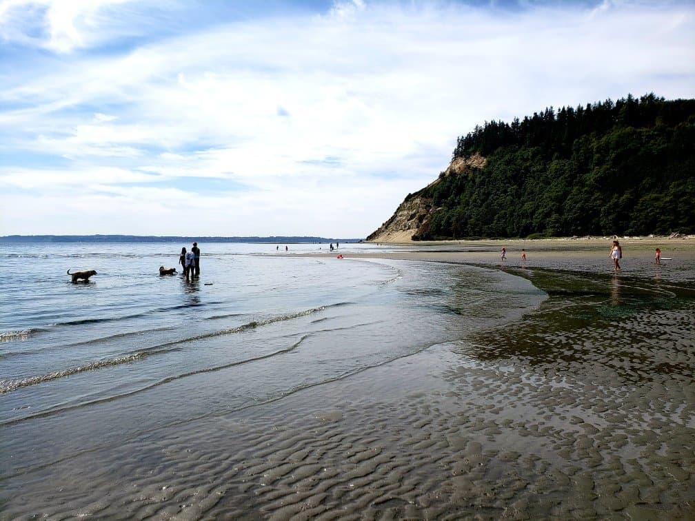 Double Bluff Beach