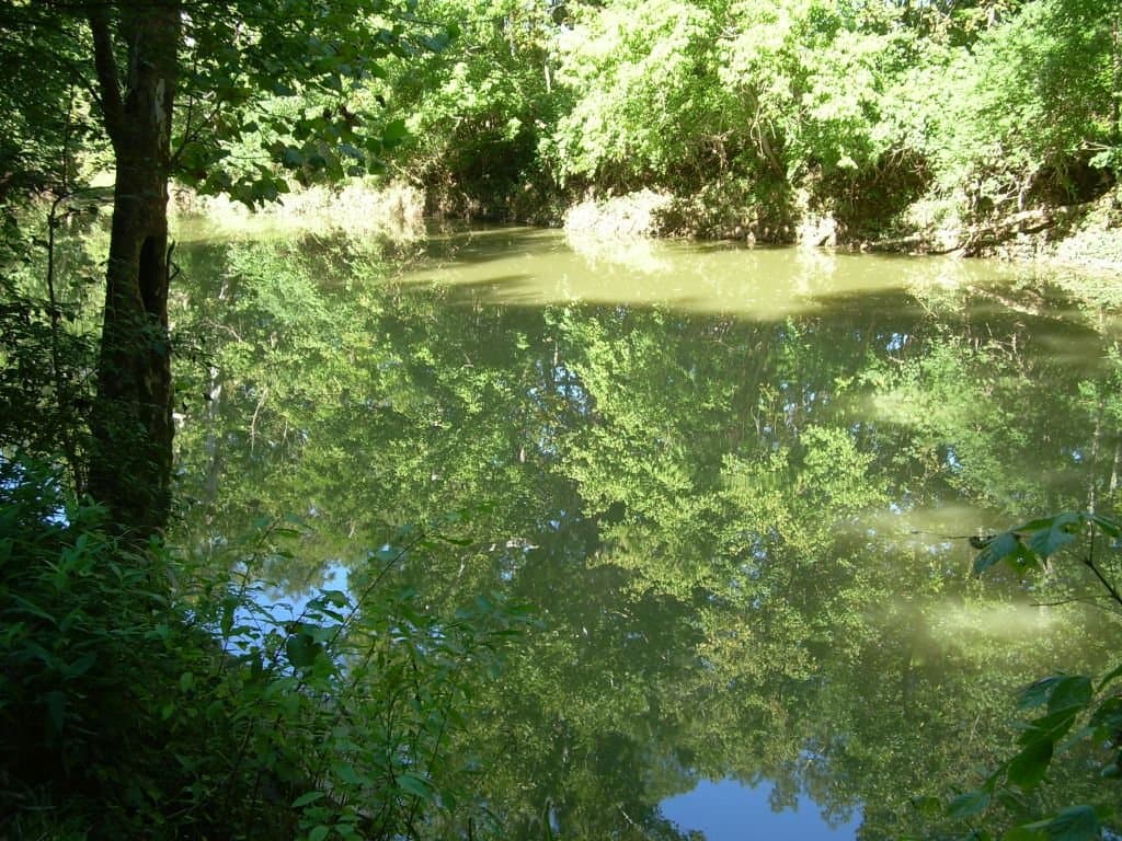 Nice reflection 