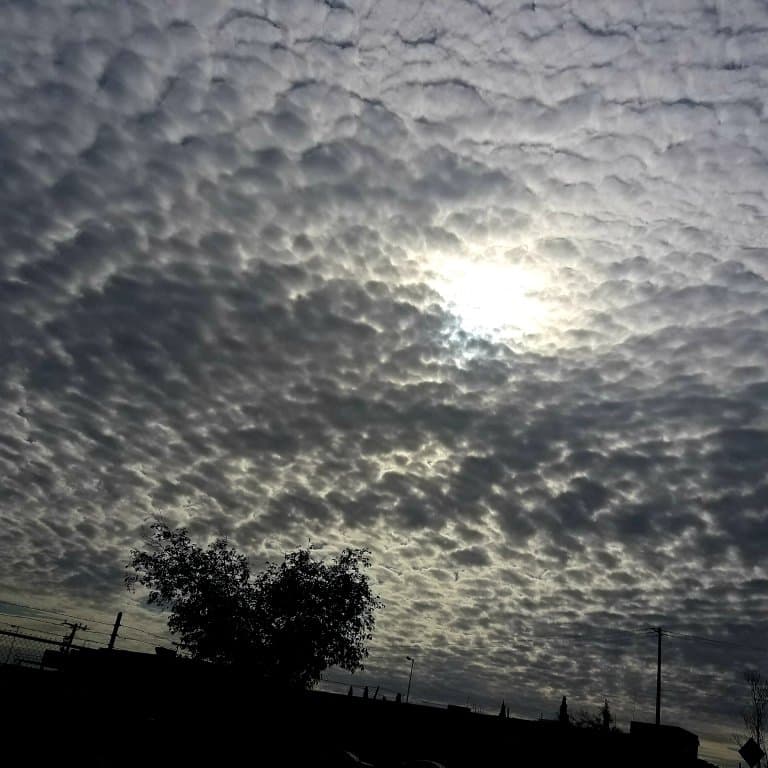 Uno de tantos bellos amaneceres en mi querida frontera...Arriba Juárez! 😍