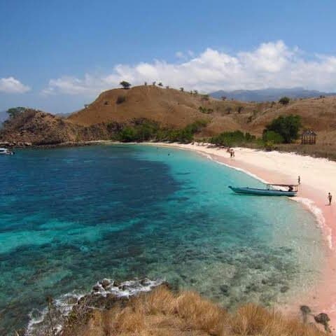 PINK BEACH LOMBOK INDONESIA Welcome to Lombok Island For traveling lovers, and welcome to Pink Beach Lombok, this is one of the places that all the newcomers crave, if you want to see pink beach colors, don't be in a hurry, because of the color  appears in the morning and evening around 4 pm, so for those of you who want to visit, please order from now ,,, Whatsapp:+6285333110339 www.saputralombok.wordpress.com