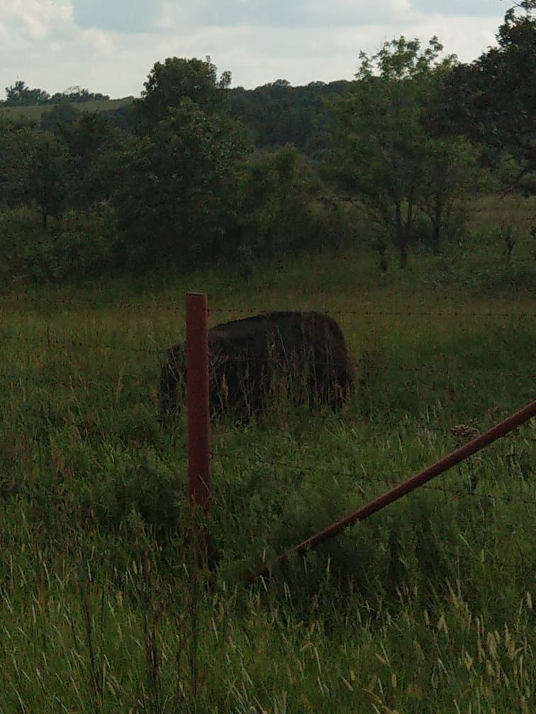 Tallgrass Prairie Preserve