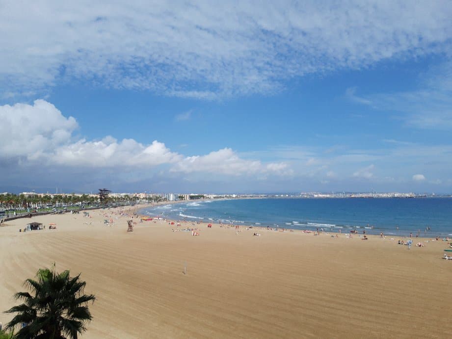 La Pineda Beach