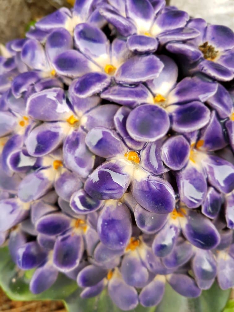Terre-Cabade Cemetery