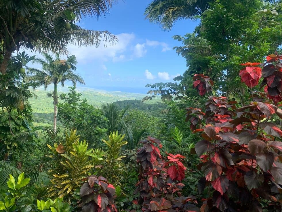 One of the views looking north, from the heights of the garden, on a sunny morning