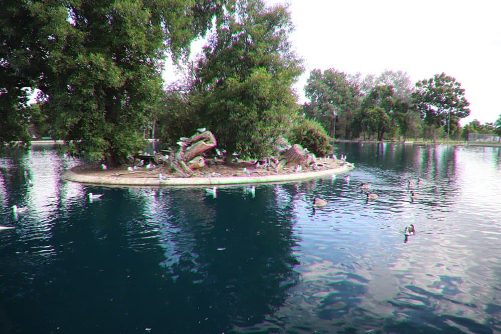 The island of birds