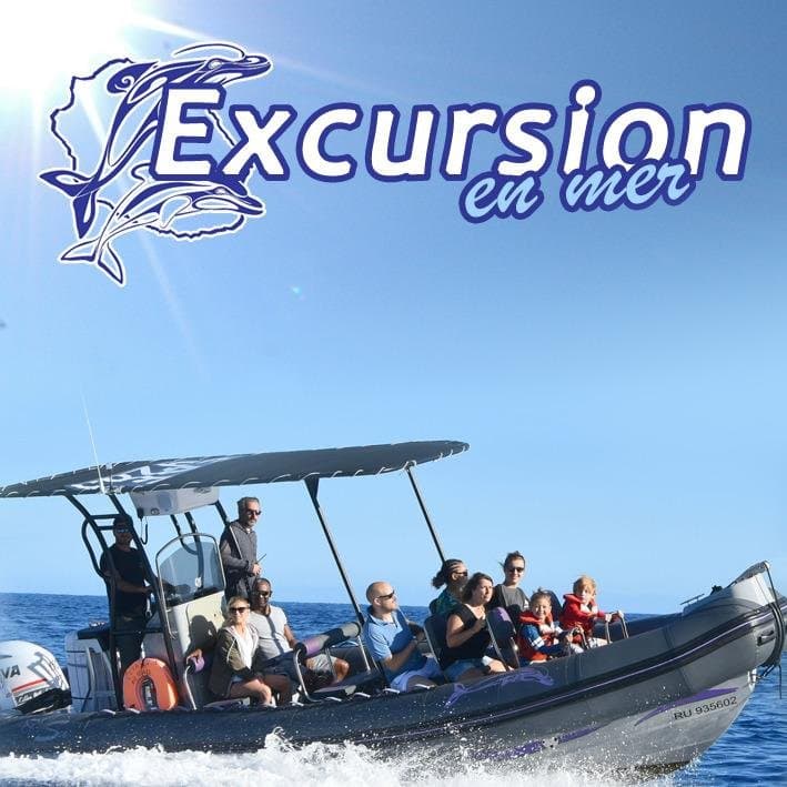 Whale Watching Departures Saint-Gilles