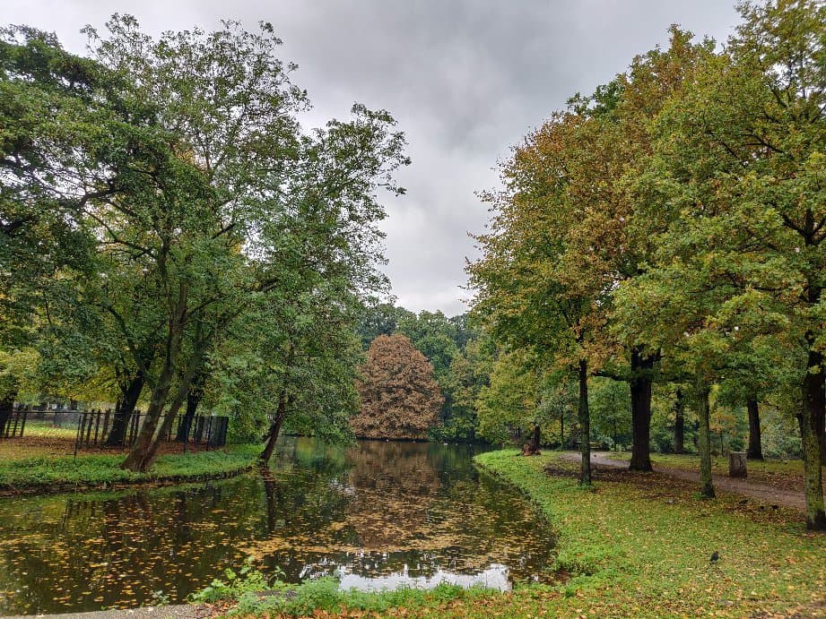 Haagse Bos
