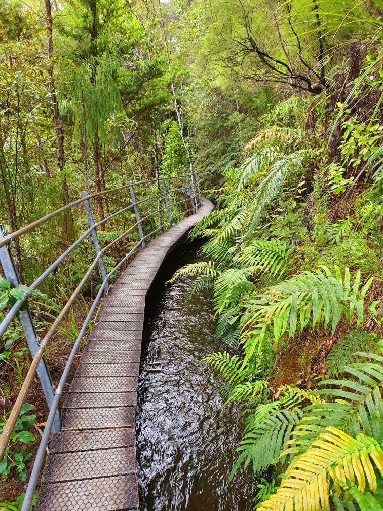 Pupu Hydro Walkway