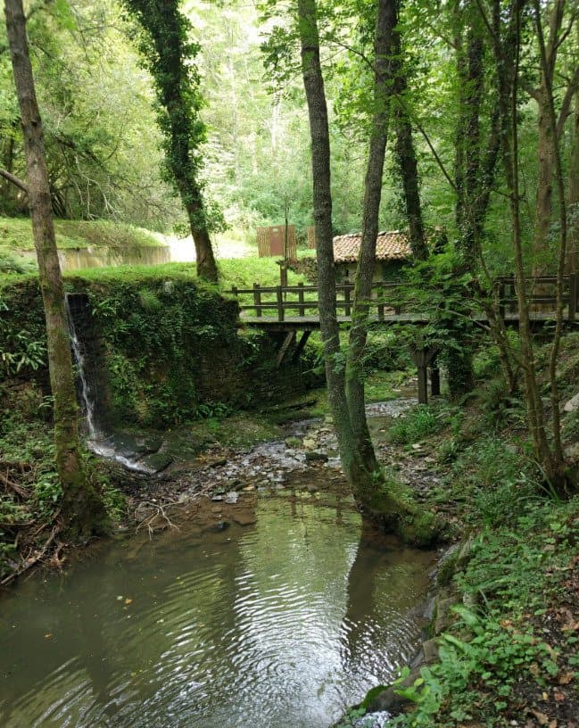 Agorregi