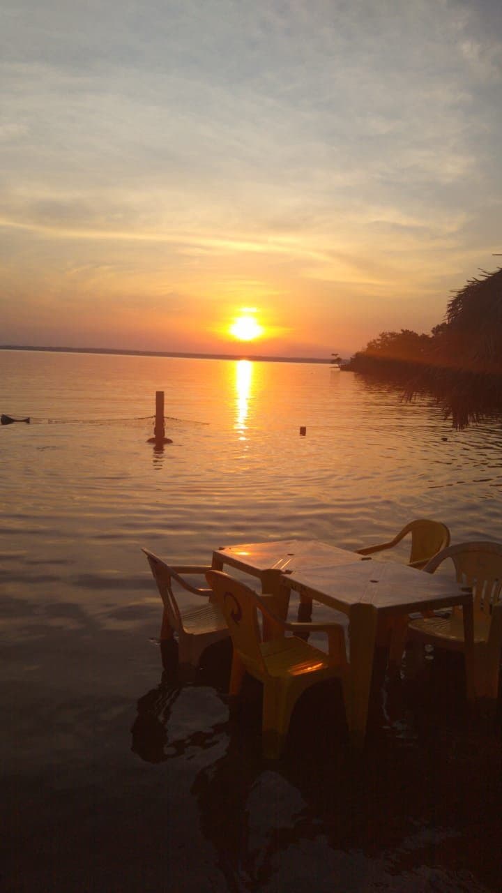 Muda a todo instante a tonalidade 