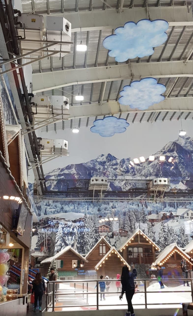 Trans Snow WOrld