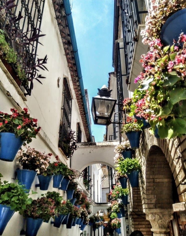 Calleja de las Flores
